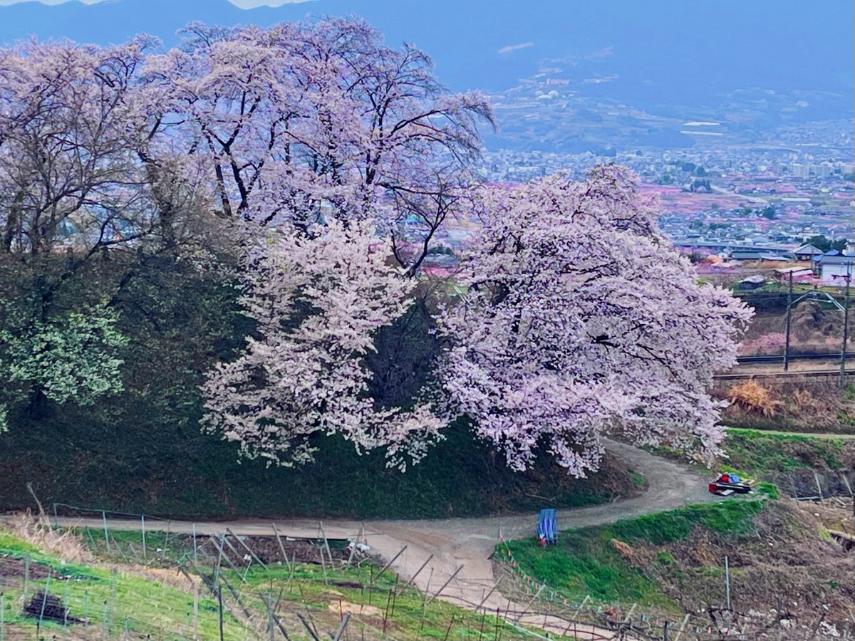 φ✧pHì✧ tweet media