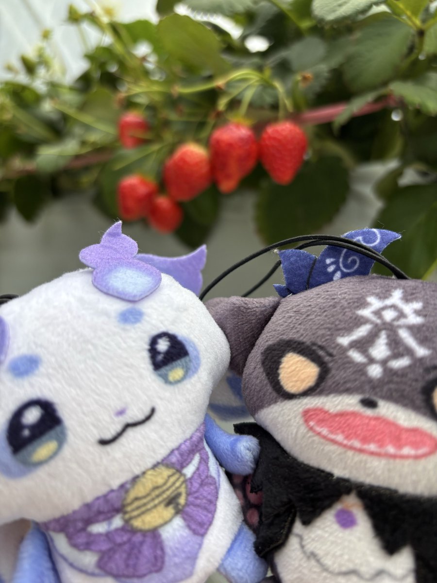 momo🚪😈🖤🥨🍚🤍 tweet media