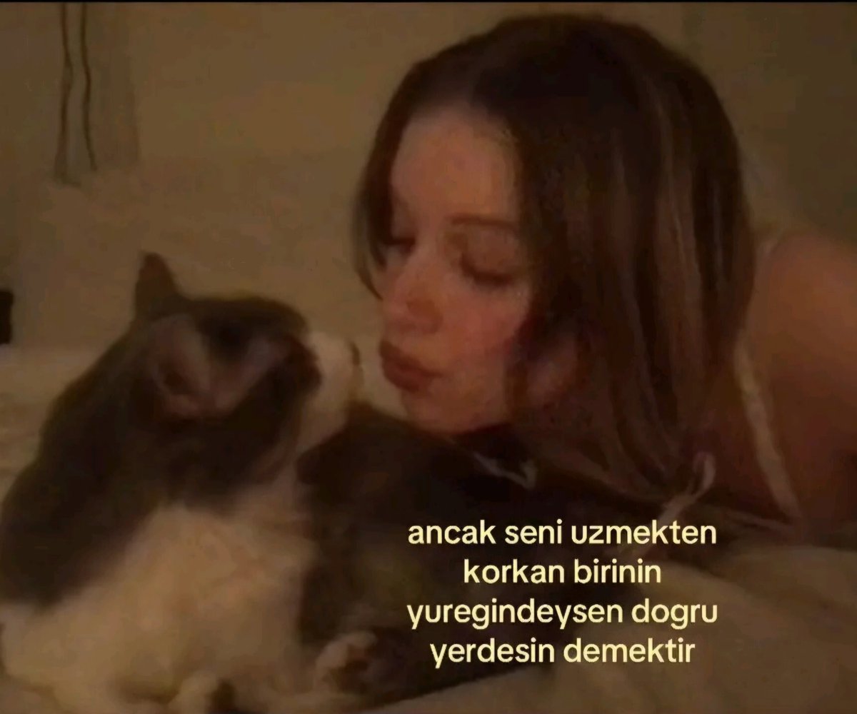 Kazım Sarıoğlu (@miyavdesenn) on Twitter photo 
