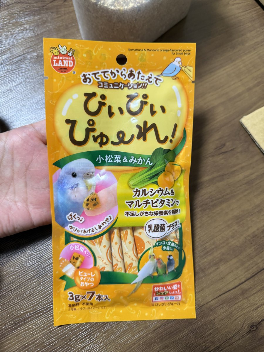 銀子のインコさん tweet media