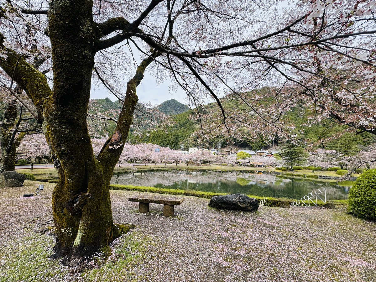 さんご🪸投資3年生🔰 tweet media