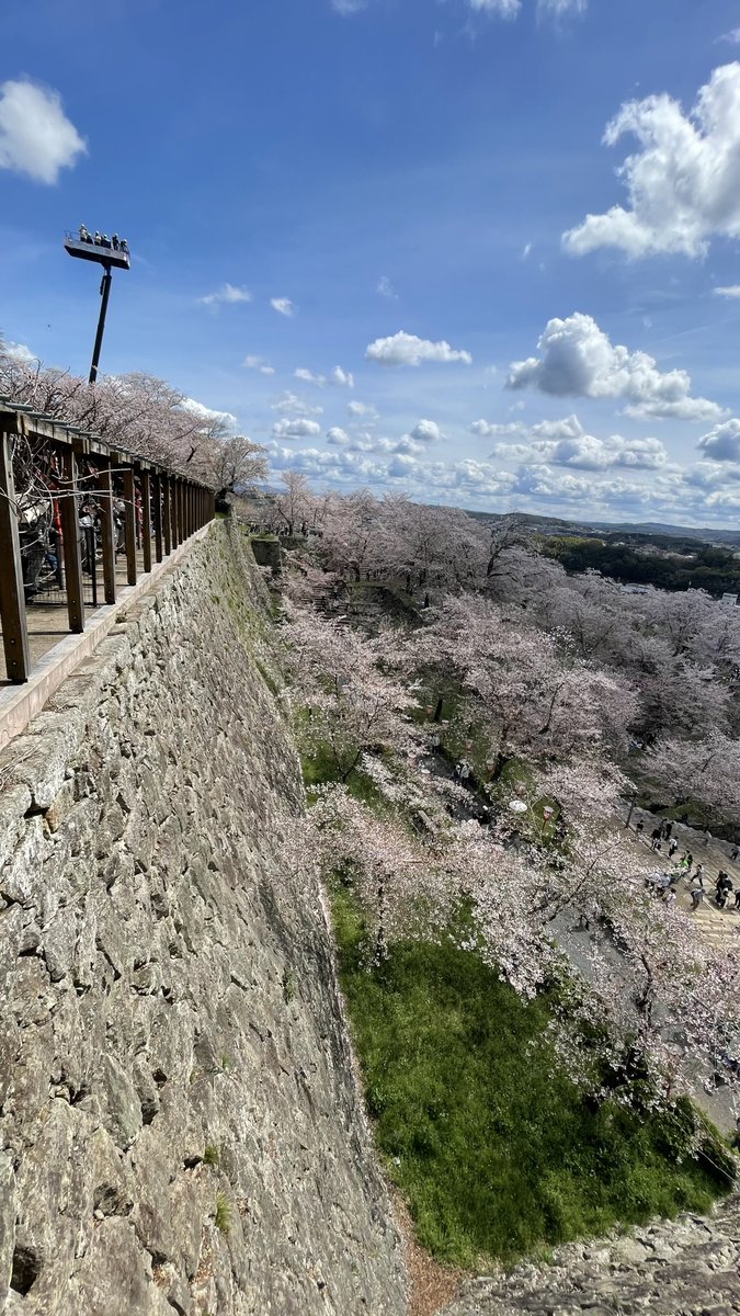 ゆうきち tweet media