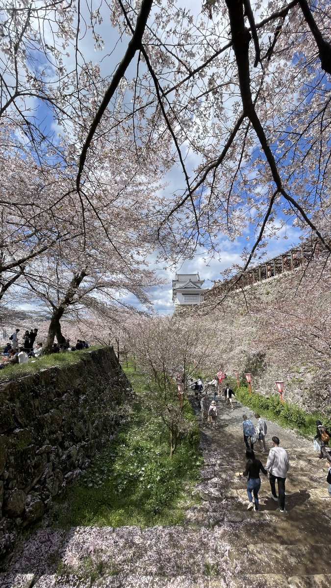 ゆうきち tweet media