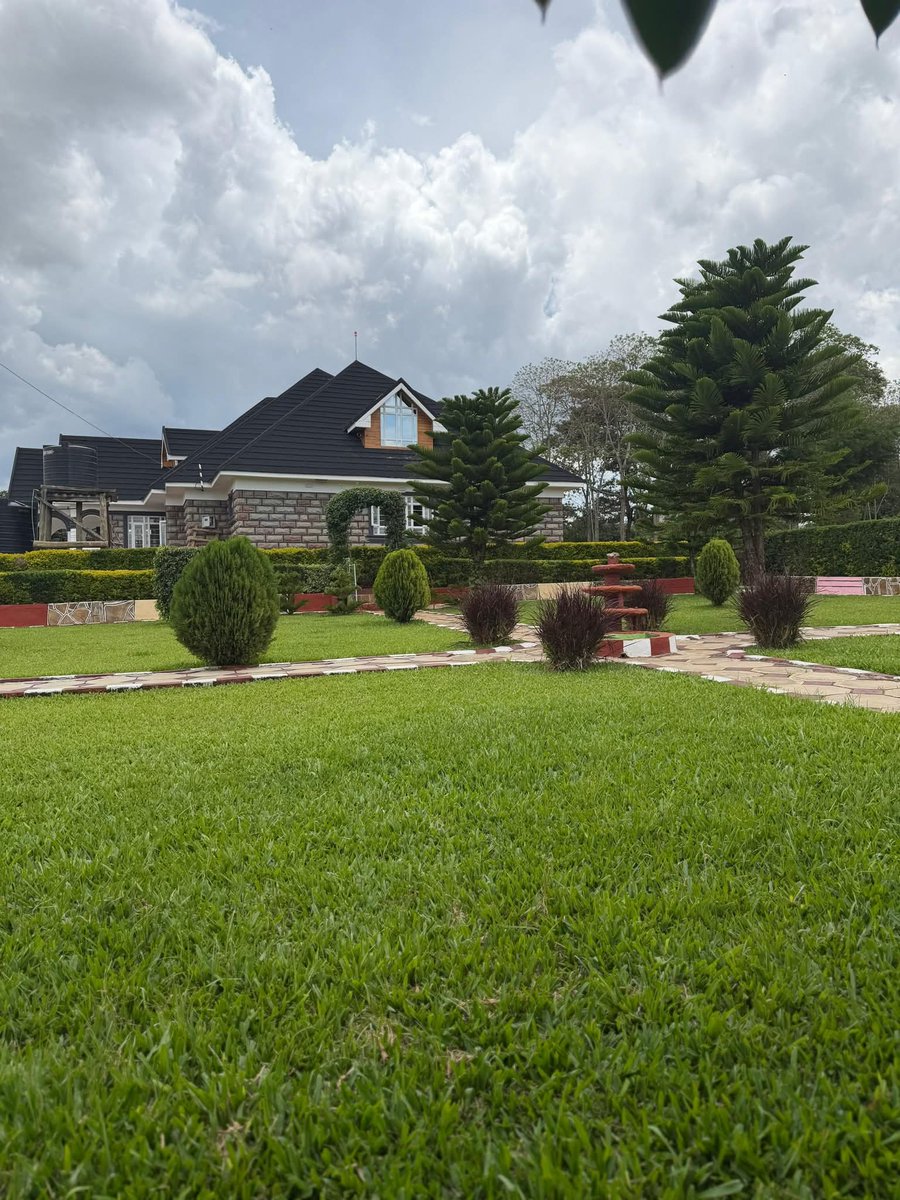 Apoko  tweet media