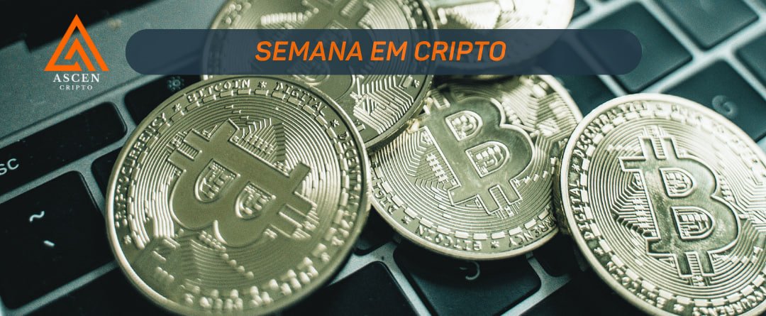 Daniel Ascen tweet media