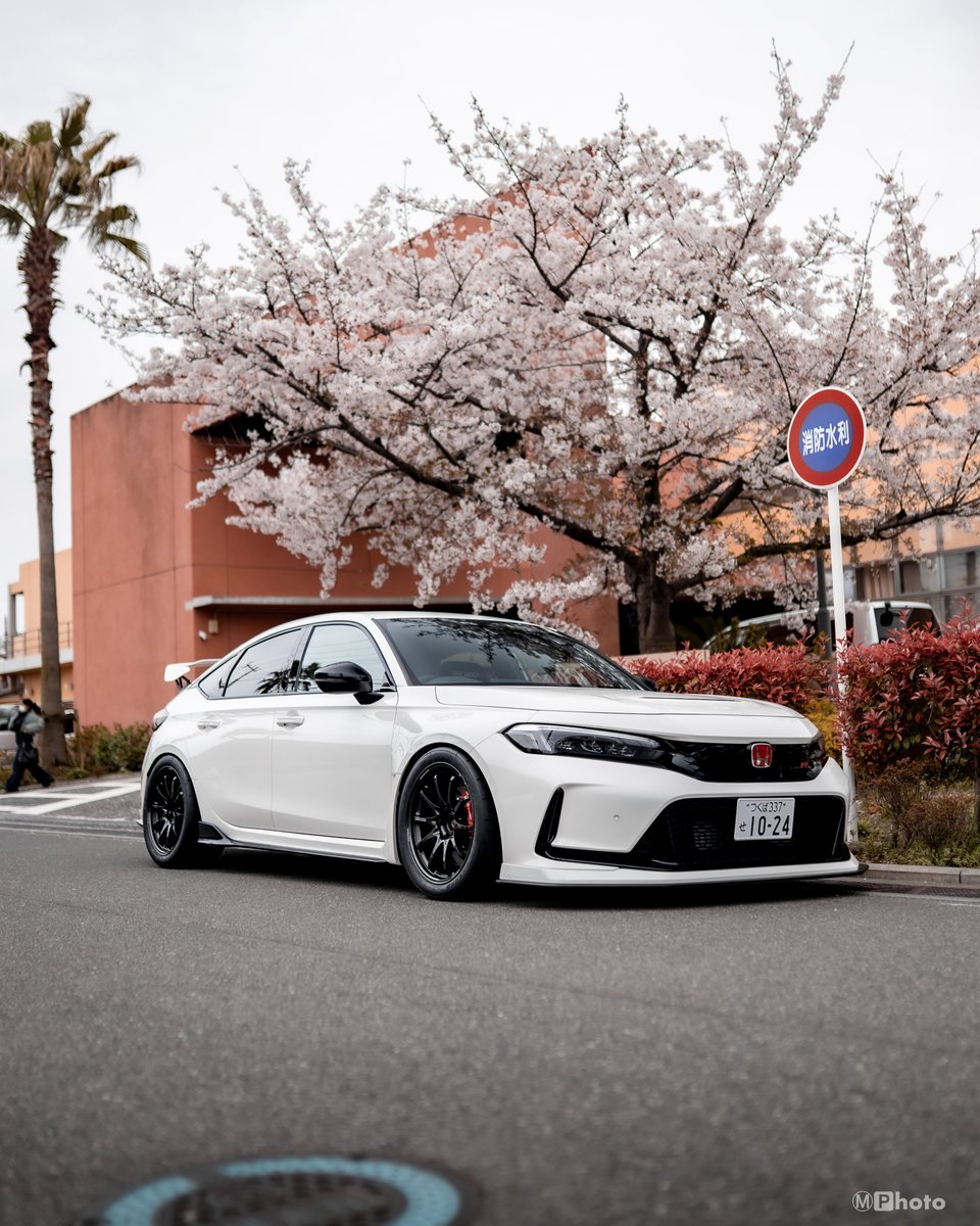 もっちー🦭 tweet media