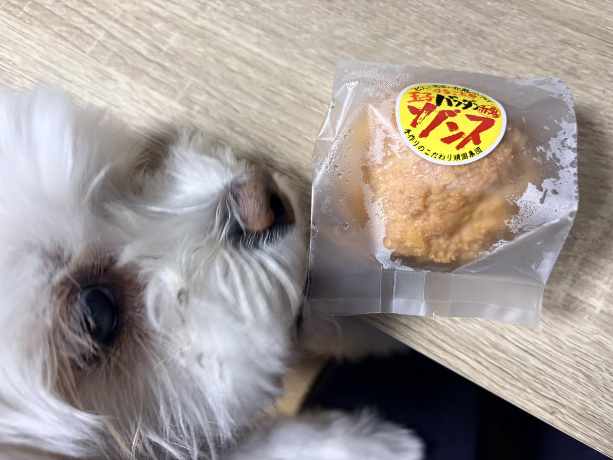 minorururu tweet media