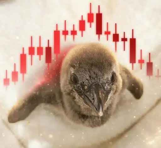 ruxibest's tweet photo. PLUTO IS AT 200K JUPITER IS AT 80K AND YET WE DONT HAVE DIPPER???

DEPLOYING DIPPER NOW AND DONATING ALL THE FEES LIVE https://t.co/K0vgQY4HtD