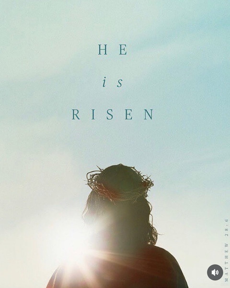 Crazy Cat Lady tweet media