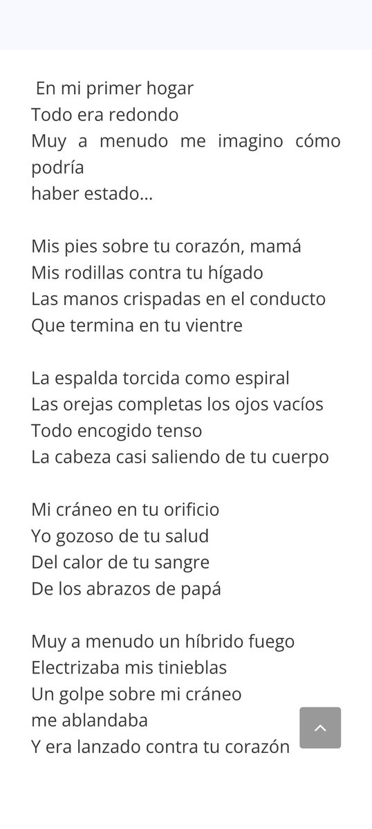 Peperlander tweet media