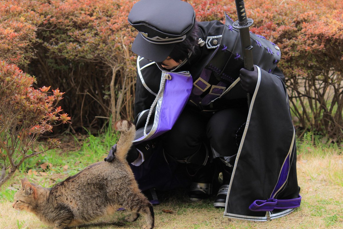 紫音🦁 tweet media