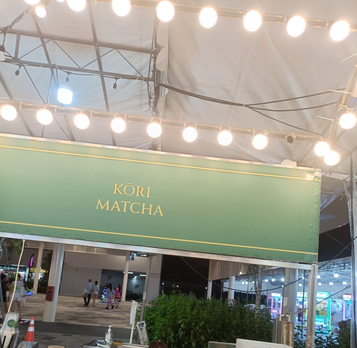 ty | brickeatmebeautifulwoman712 tweet media