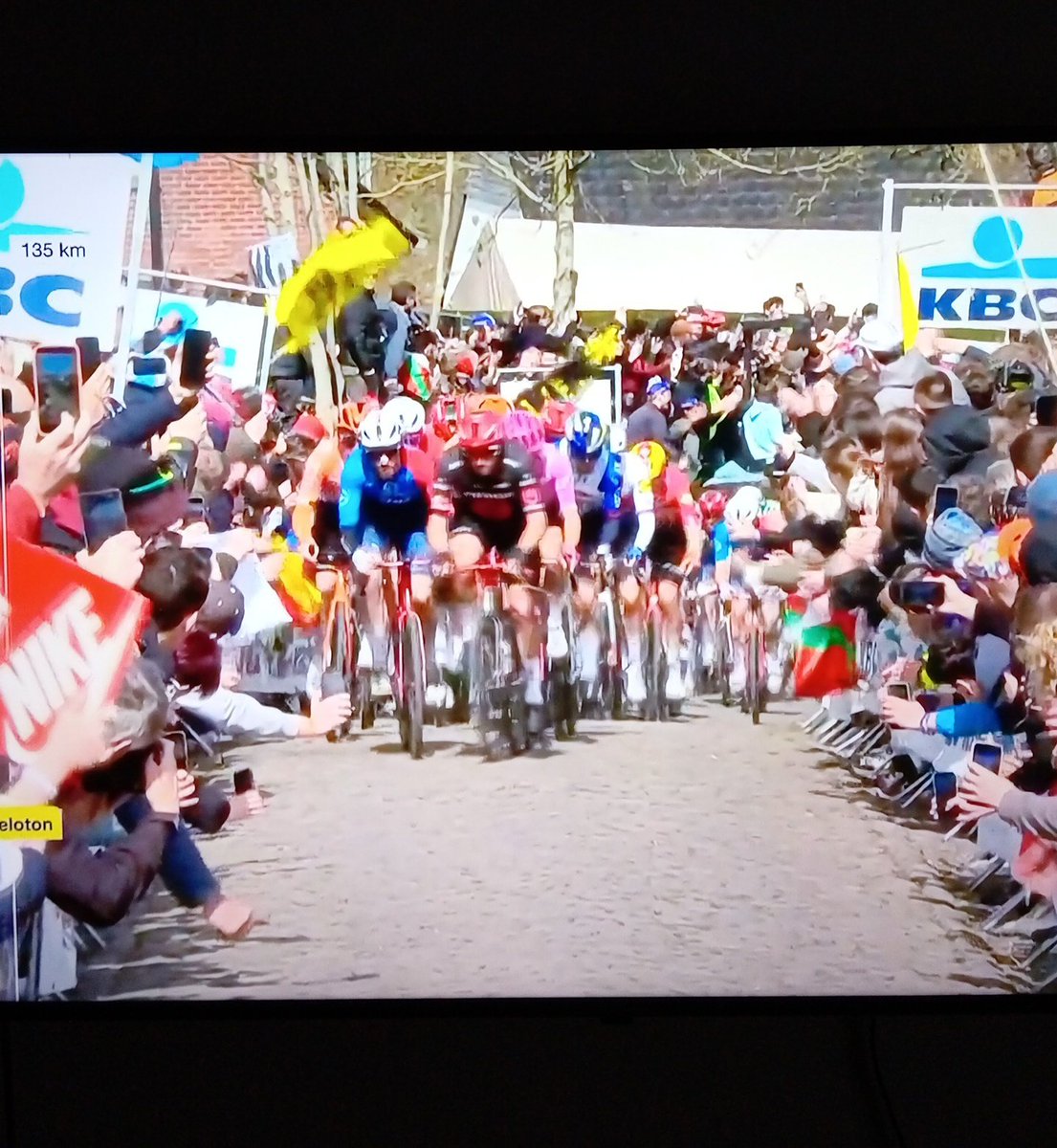 Marcelo Hernández tweet media