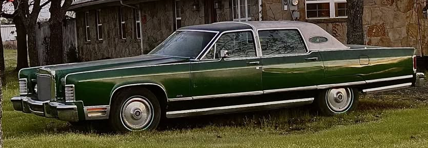 RobotPete of Selwyn! tweet media