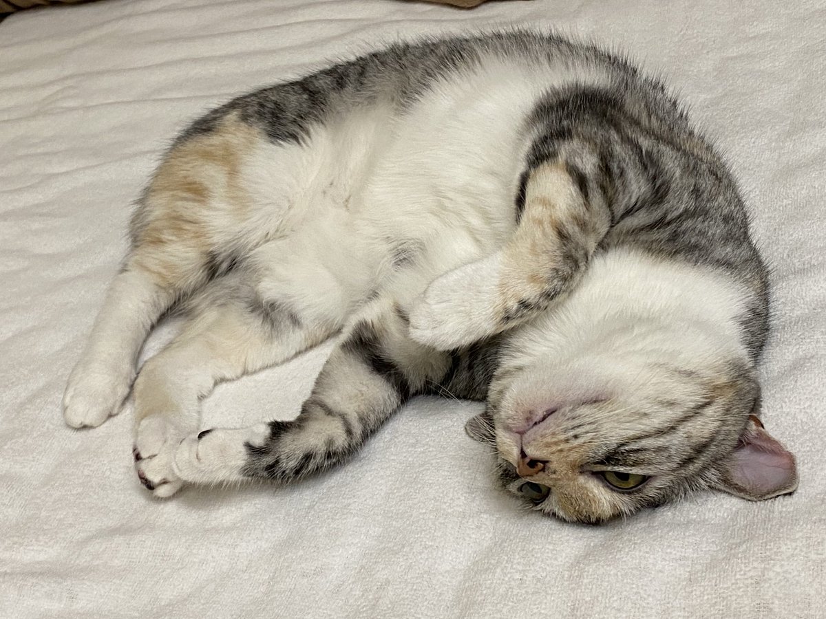 ＼助けよや／𝕏𝕐†😱†𝕐𝕏 tweet media