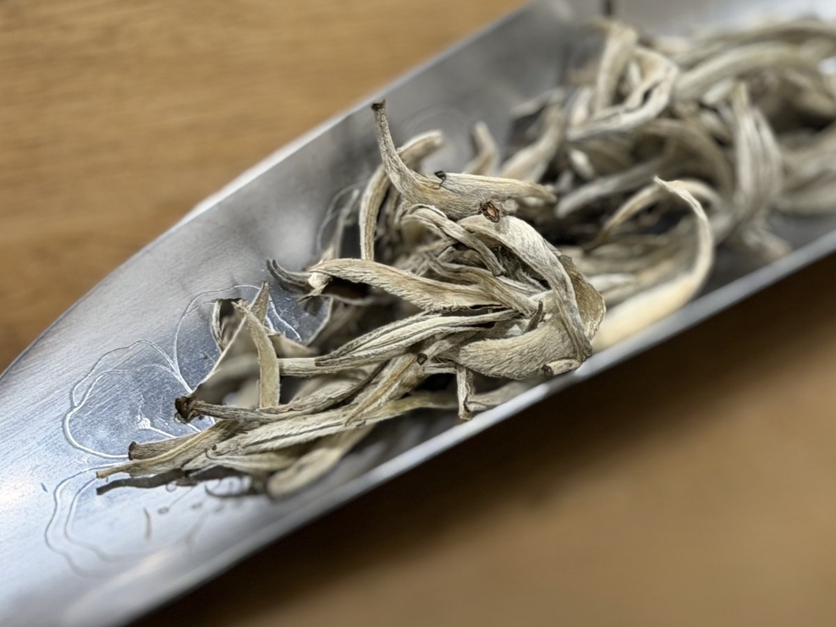 𝐒𝐎𝐘𝐎 tweet media