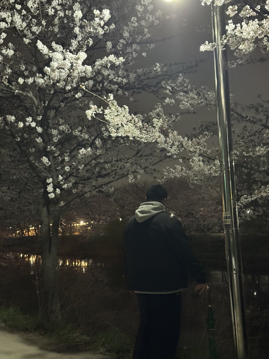 아라내 tweet media