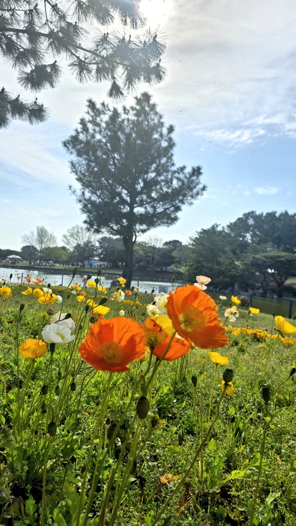 Aki🐈‍⬛ tweet media