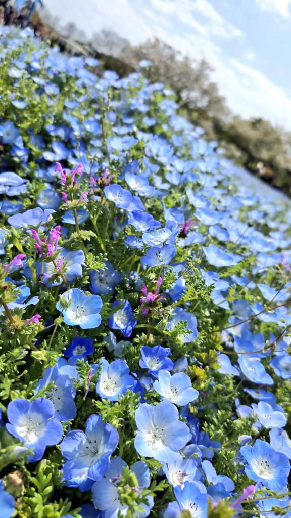 Aki🐈‍⬛ tweet media