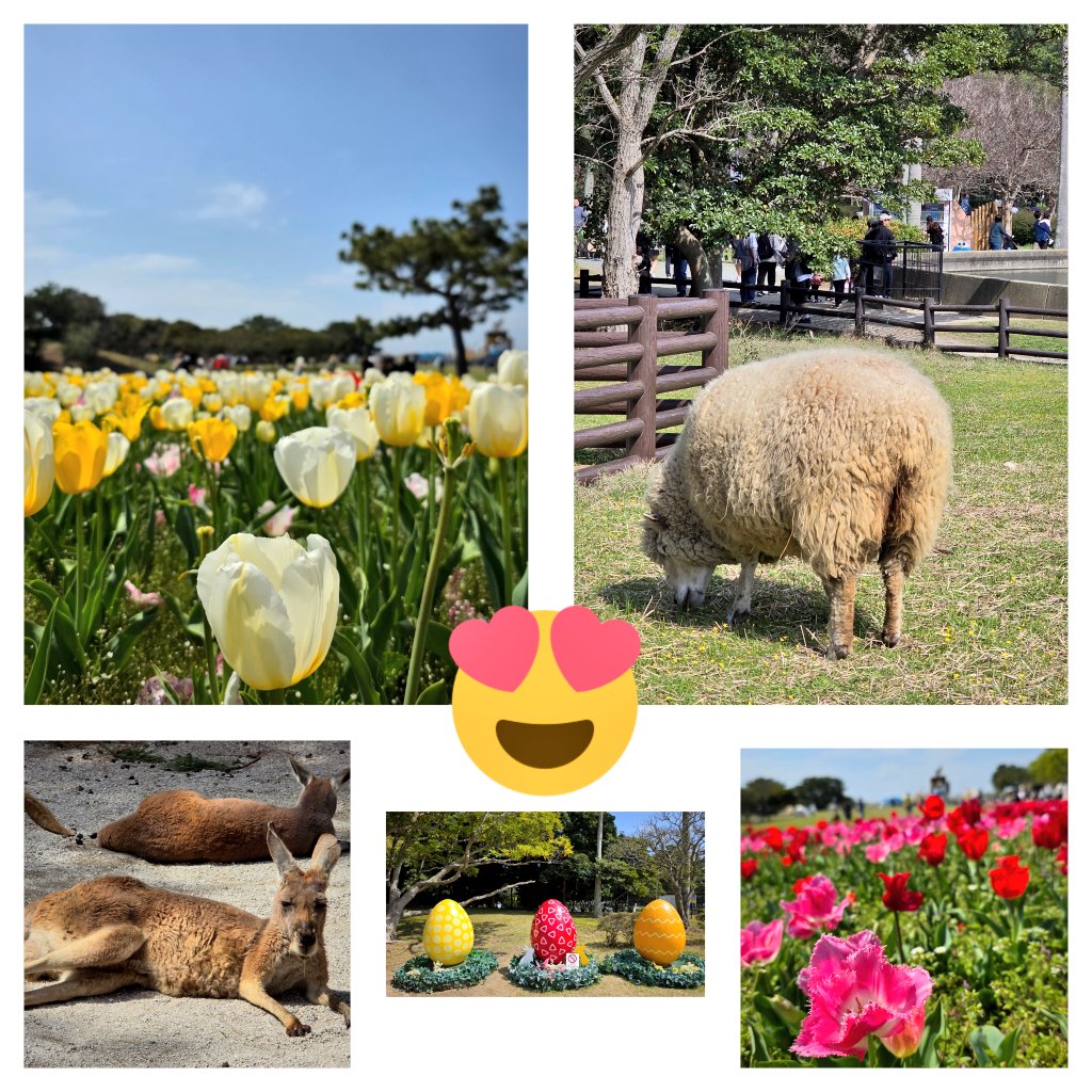 Aki🐈‍⬛ tweet media