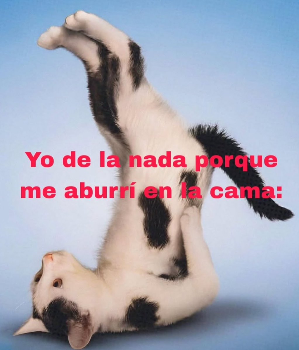 Animalitos en aprietos. tweet media