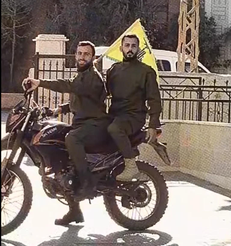 David Collier tweet media