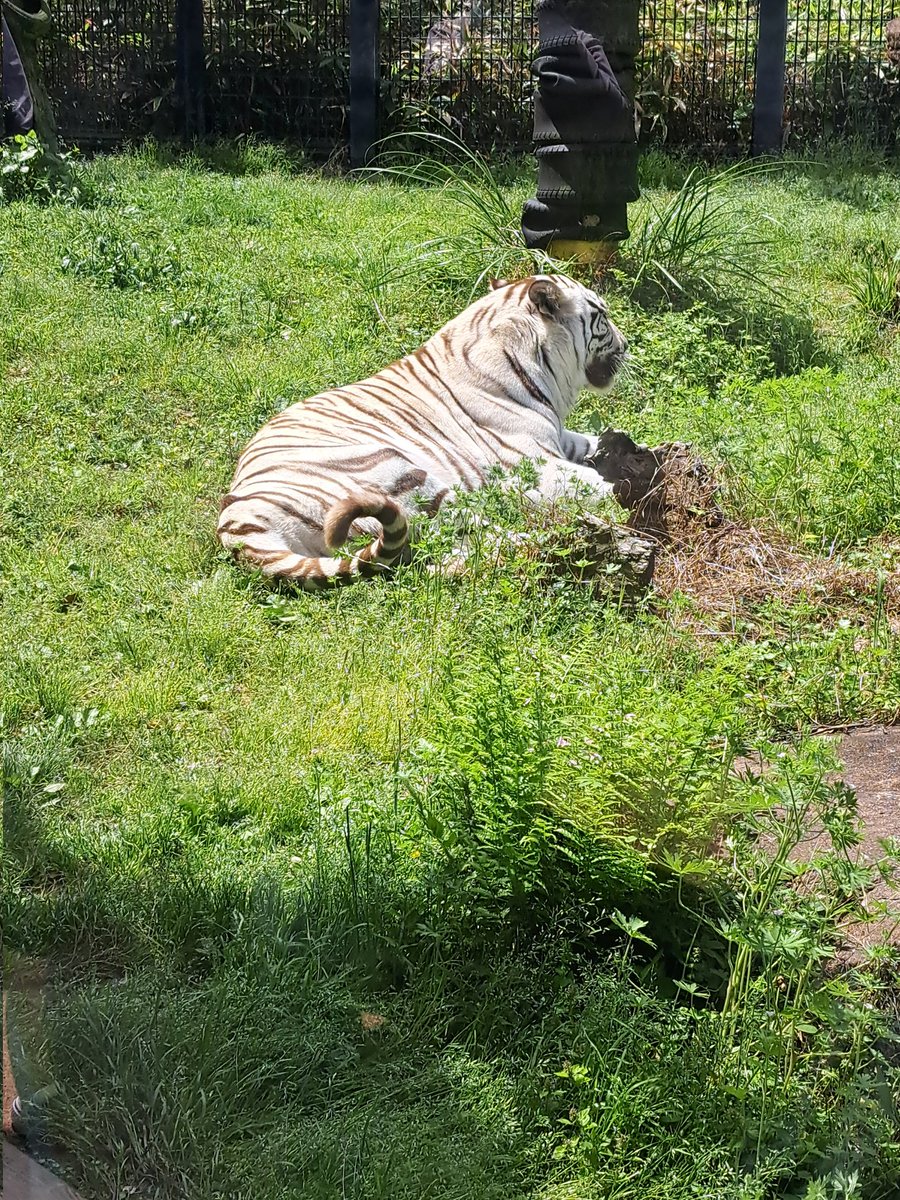 ミン@ぷちゅん中毒 tweet media