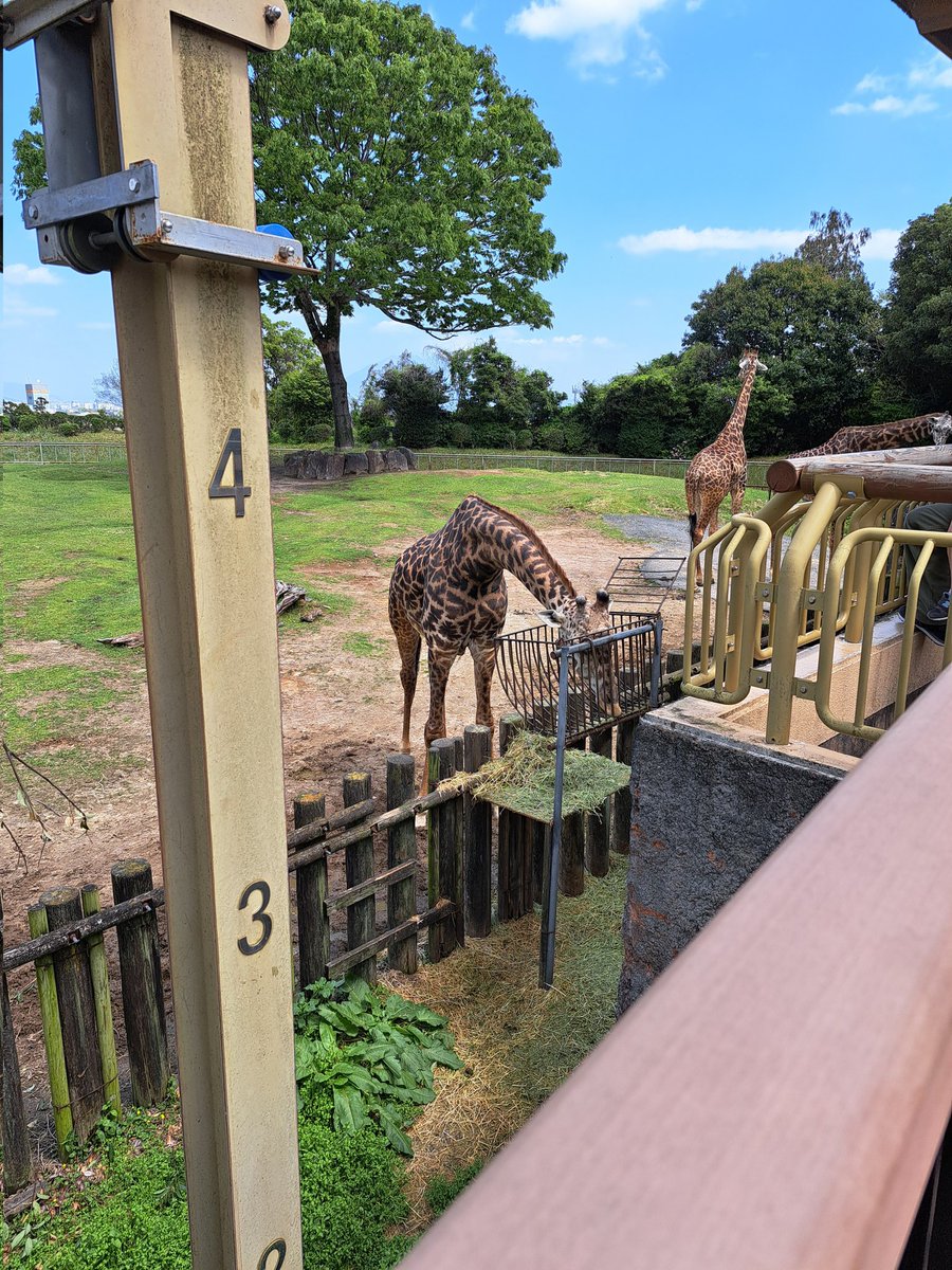 ミン@ぷちゅん中毒 tweet media