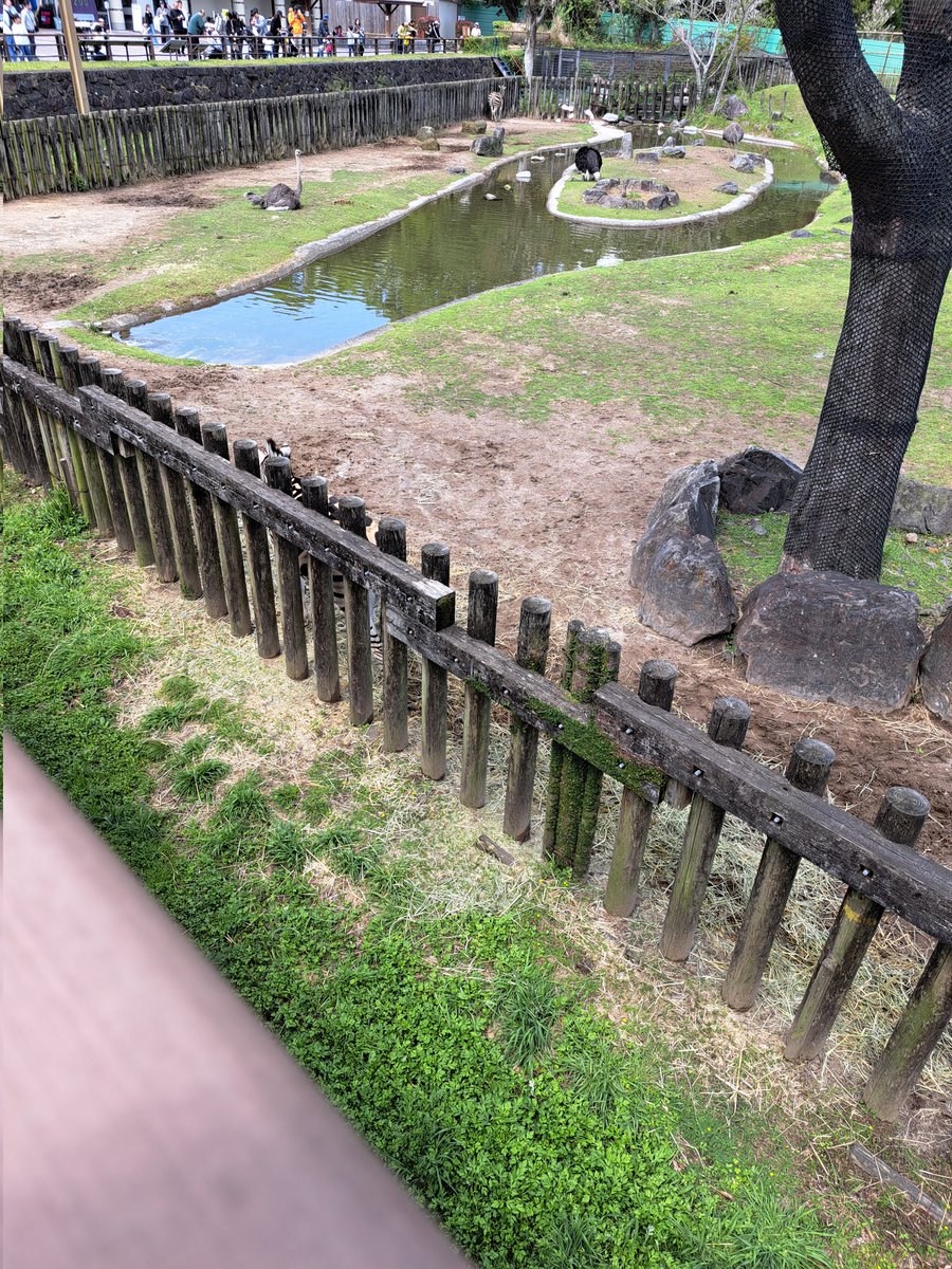 ミン@ぷちゅん中毒 tweet media