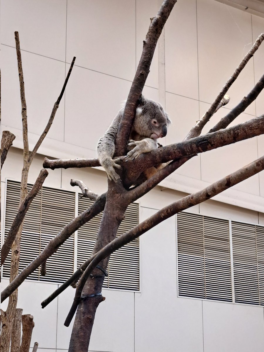 ミン@ぷちゅん中毒 tweet media