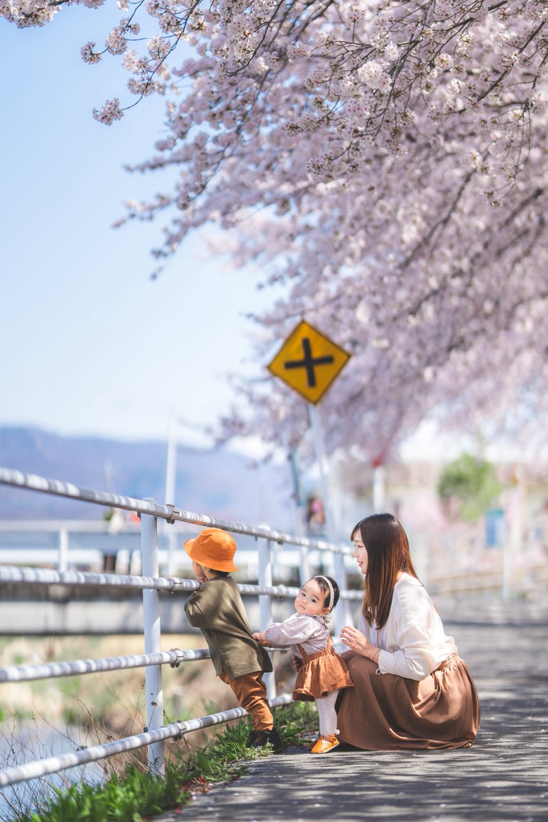 Masaya "パパカメラマン" tweet media