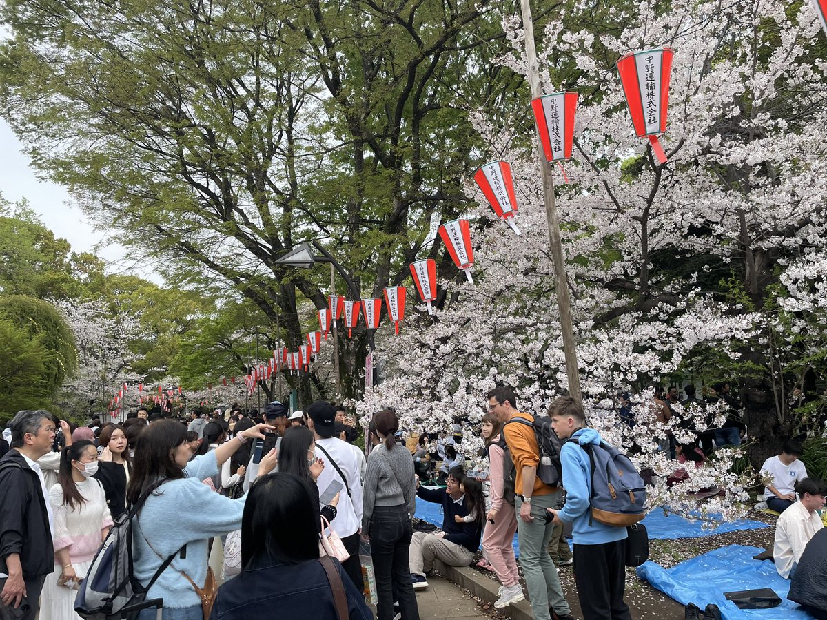 今井淳一@メコンデルタ・カントー＆ハノイ tweet media