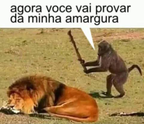 blusa hipster de macaco lendo tweet media