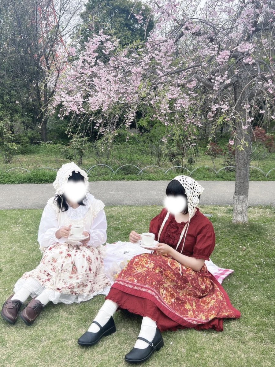 ねむるねこ tweet media