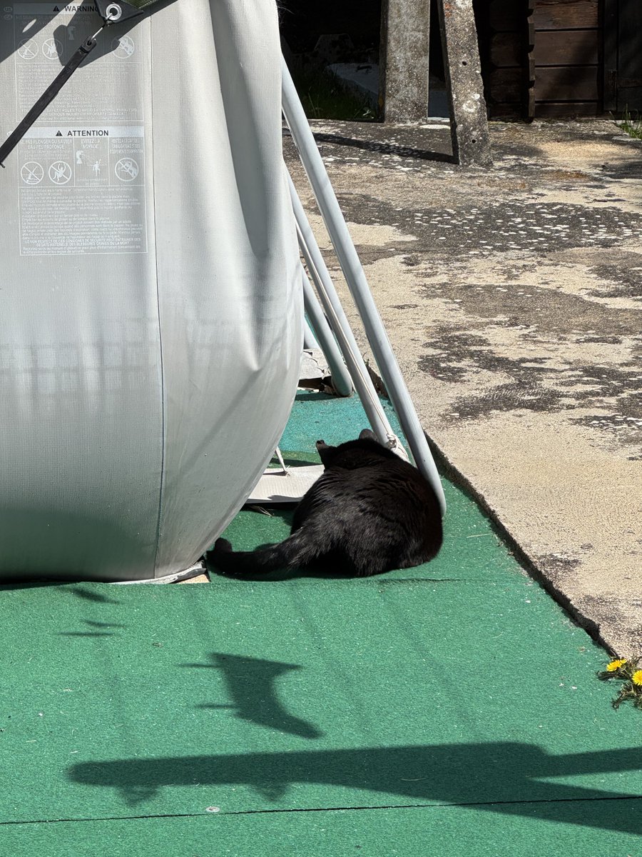 Chloé 🌸 tweet media