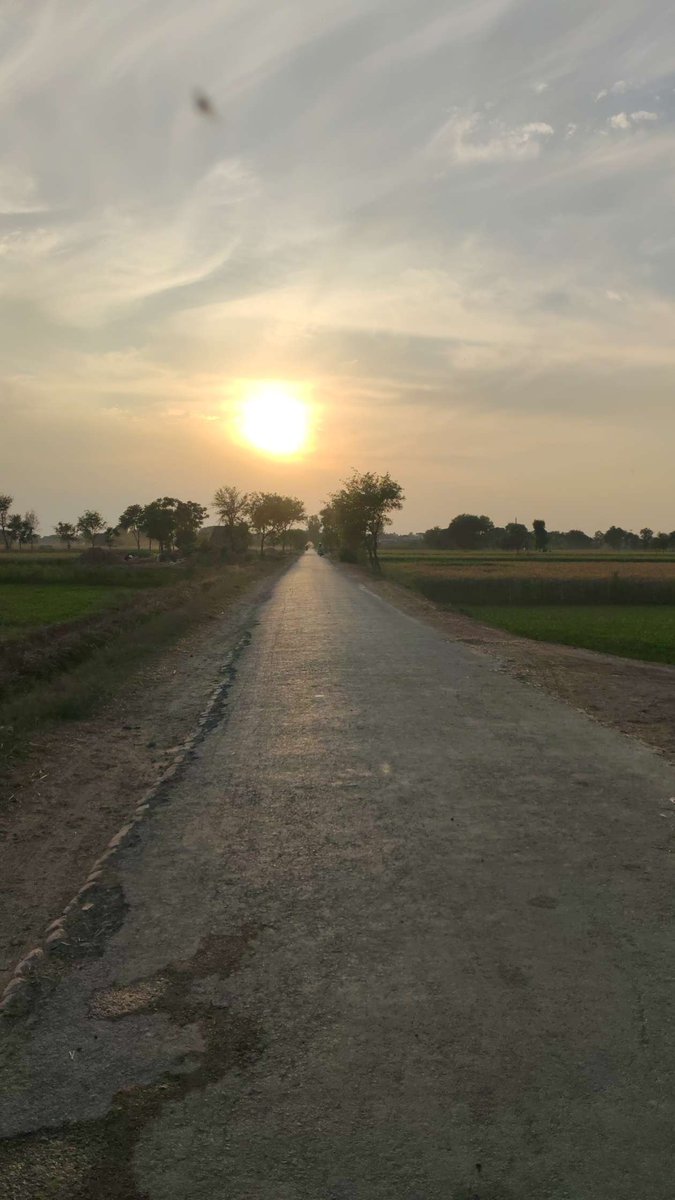 Sadaf Aslam tweet media