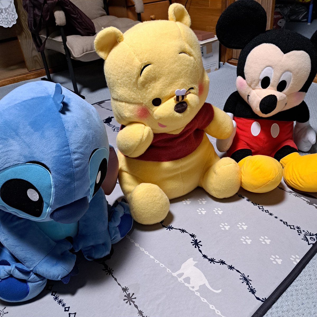 Tsubaki. tweet media