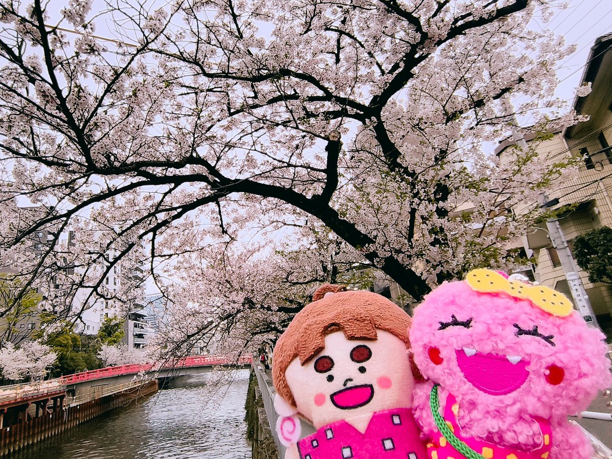 悠🌻 tweet media