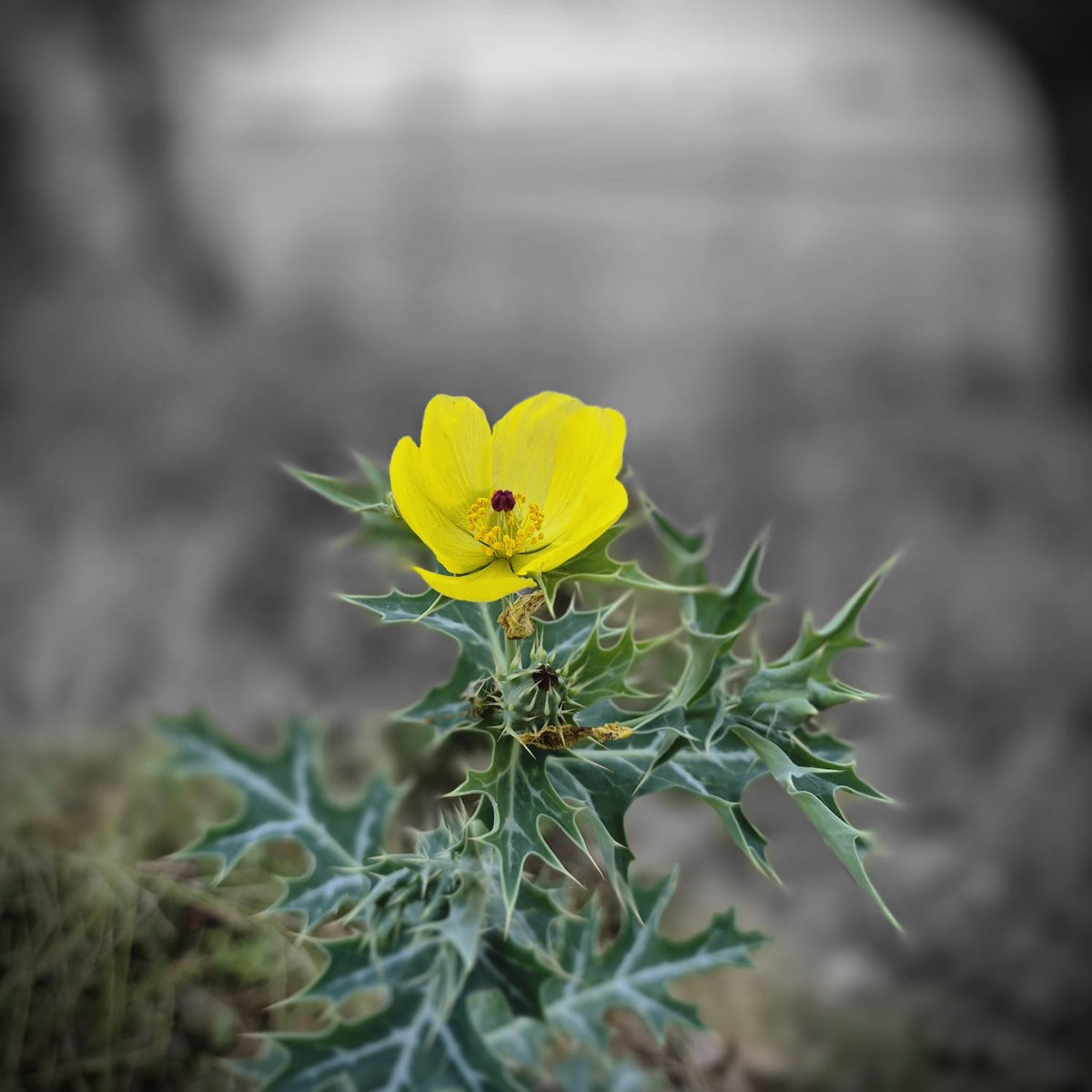 वाक़िफ़ हैं निगाहें 👀 tweet media