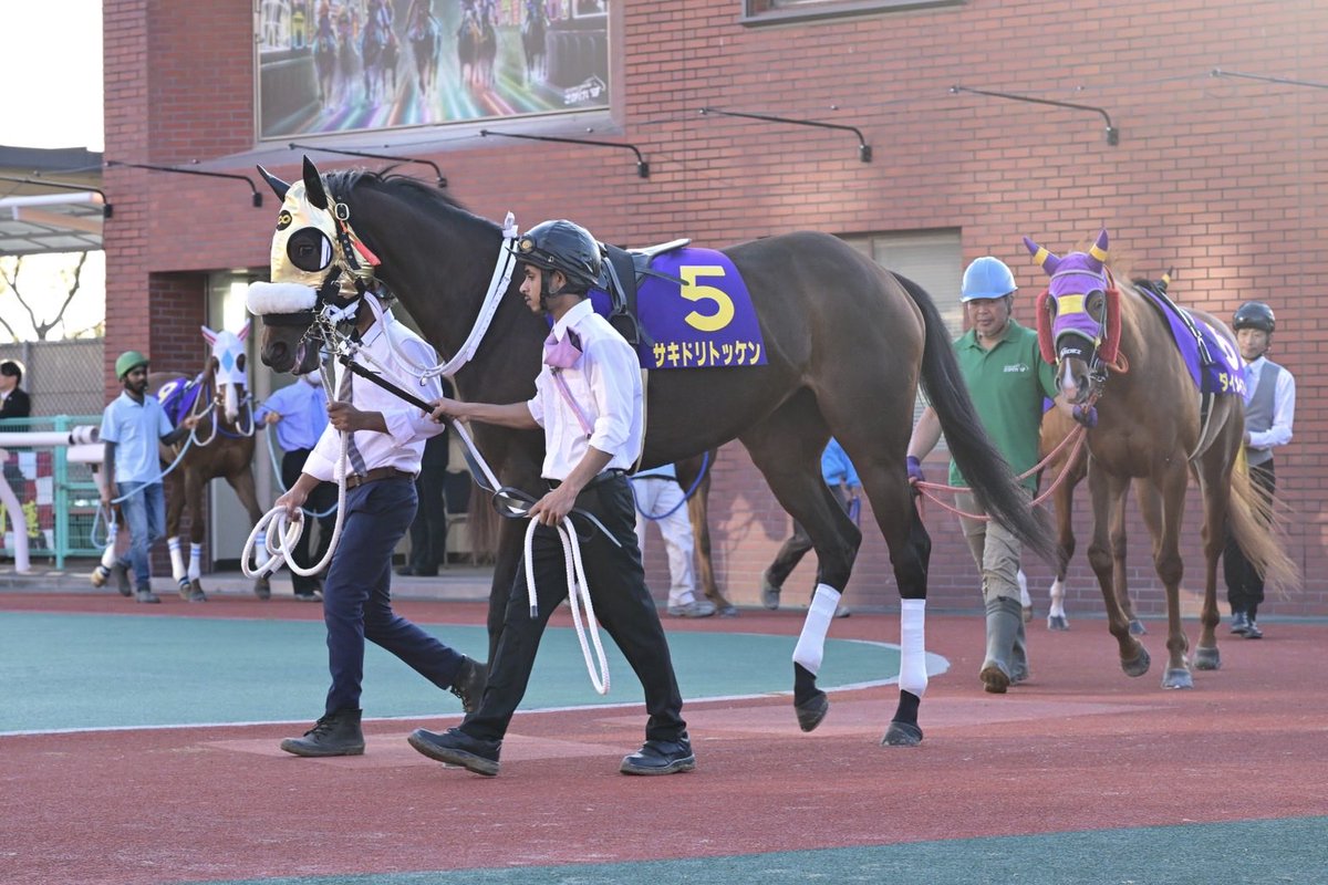 さがけいば（佐賀競馬場） tweet media