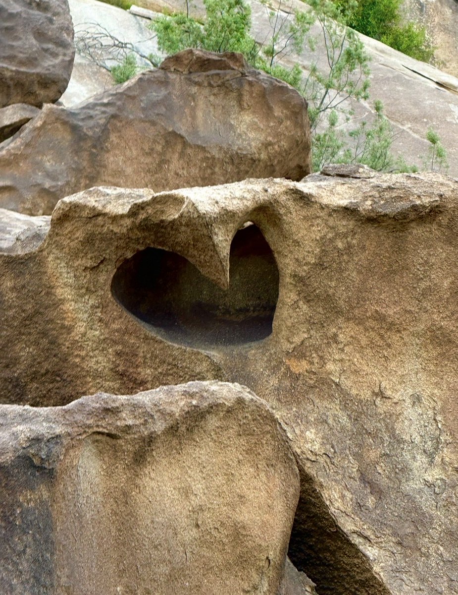 ناصر الشدوي tweet media