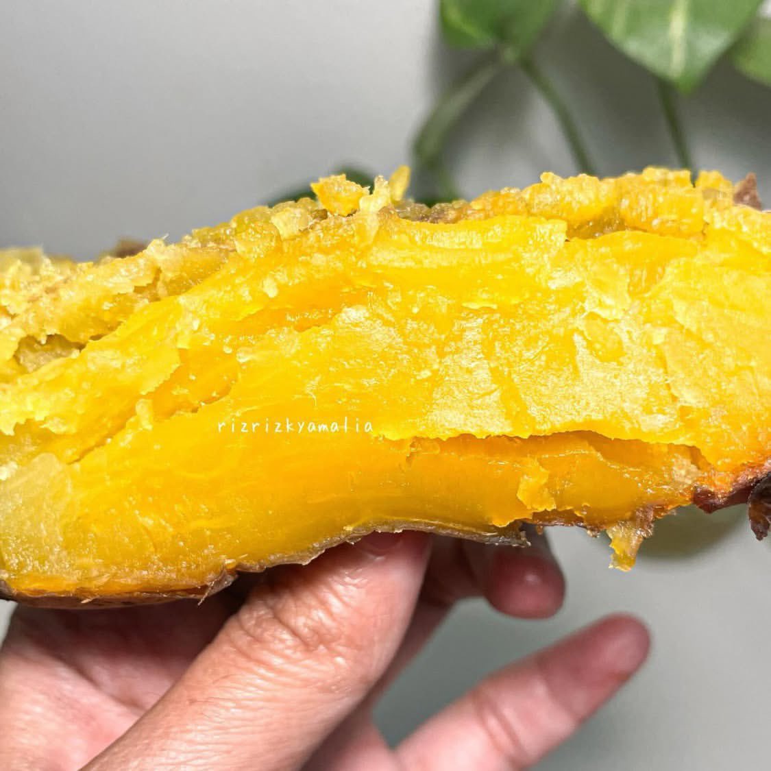 ulil🌱 tweet media