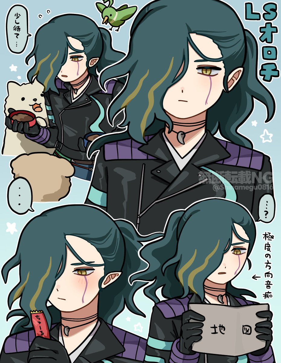 シナめぐ tweet media