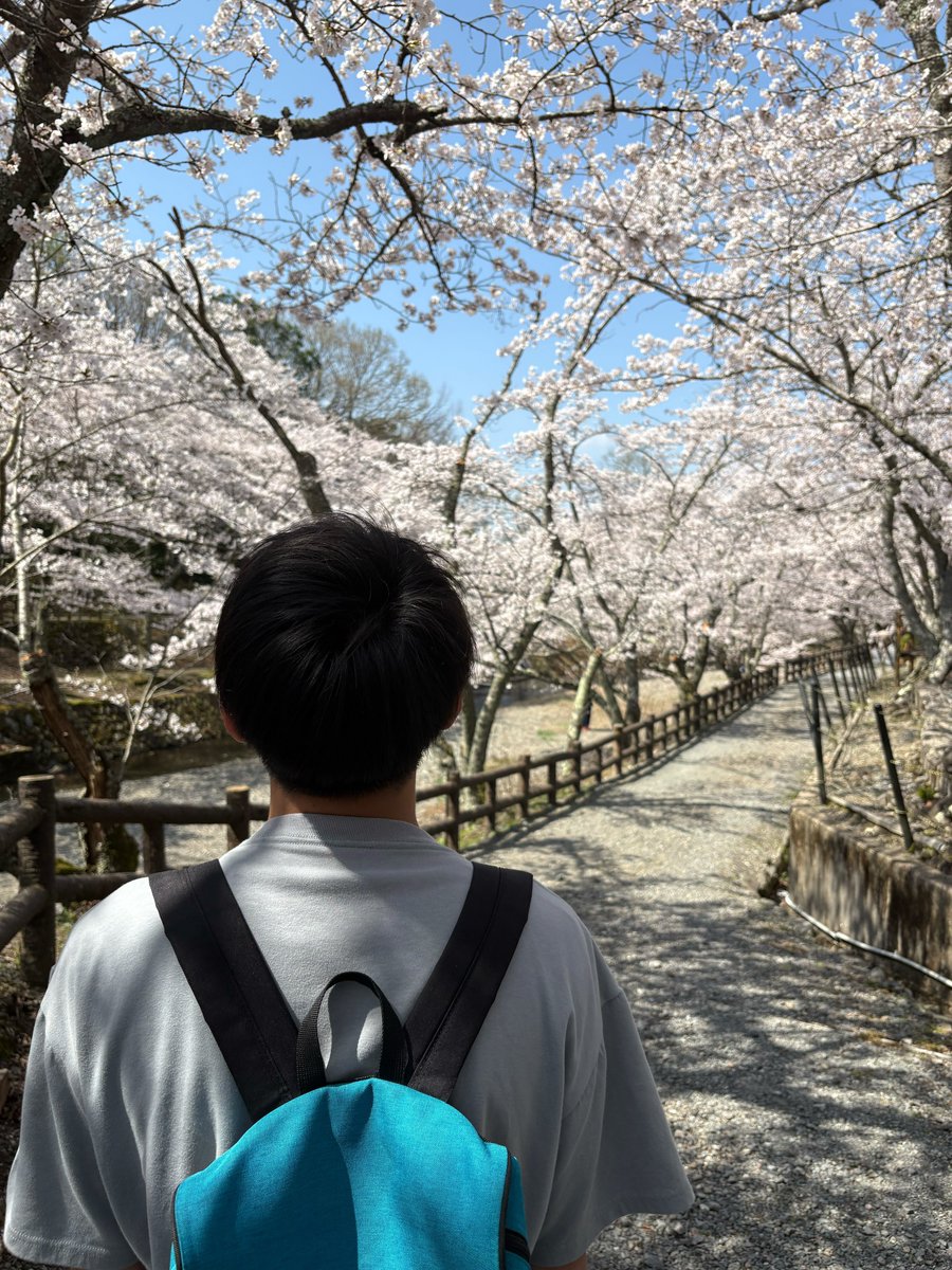 けいと tweet media