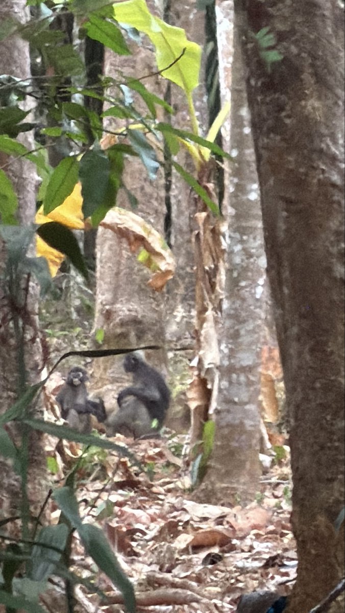 ฟิล ปรัชญา อรเอก tweet media