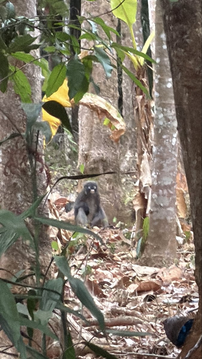 ฟิล ปรัชญา อรเอก tweet media