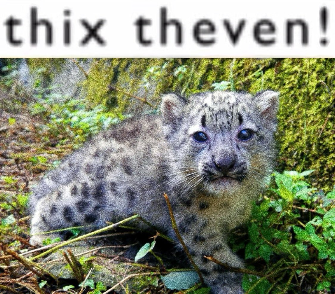 Sneplover45 tweet media