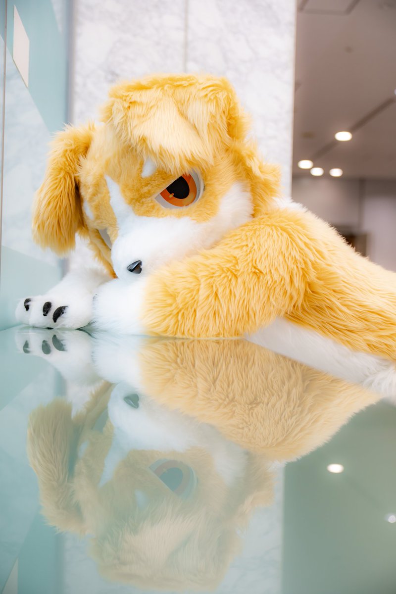 やーさん📸🐶🐉ジーラン tweet media