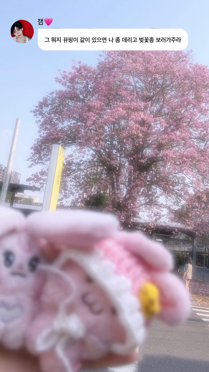 hannnxui's tweet photo. 다들 좋은 하루 보내세용🩷
#나나생각중 https://t.co/04Qz1SeZce