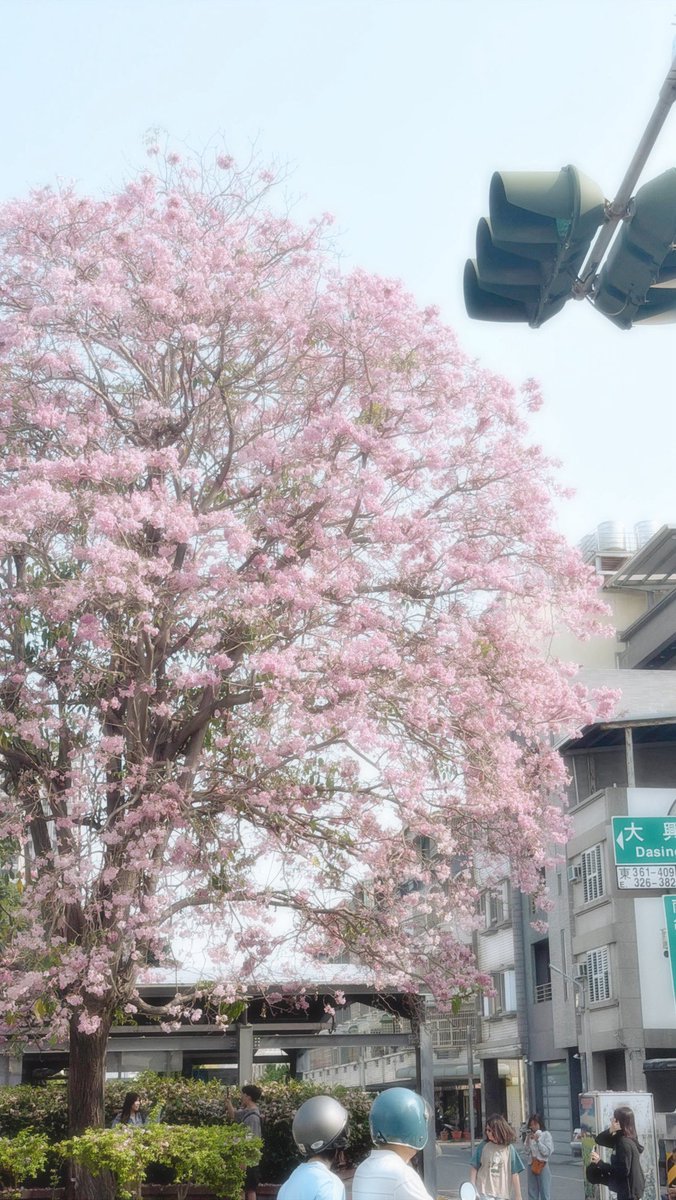 hannnxui's tweet photo. 다들 좋은 하루 보내세용🩷
#나나생각중 https://t.co/04Qz1SeZce